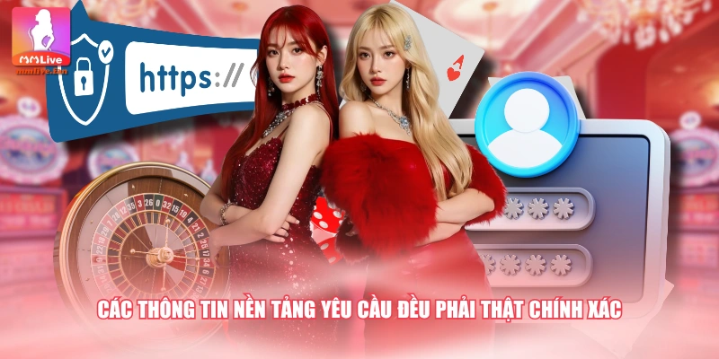 Các thông tin nền tảng yêu cầu đều phải thật chính xác
